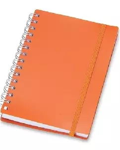 Agenda Personalizada 2020