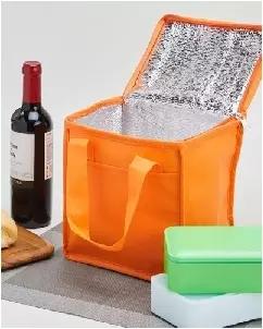 Bolsa Termica 5 Litros Personalizada Para Brinde