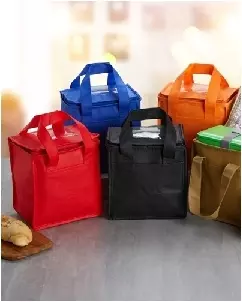 Bolsa Termica 5 Litros Personalizada Para Brinde