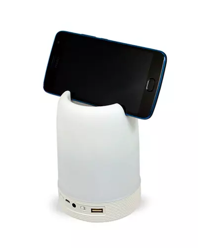 Caixa de Som Personalizada para PC