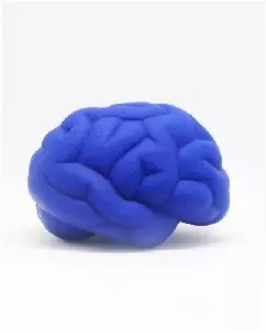 Cérebro Anti Stress de Vinil Personalizado