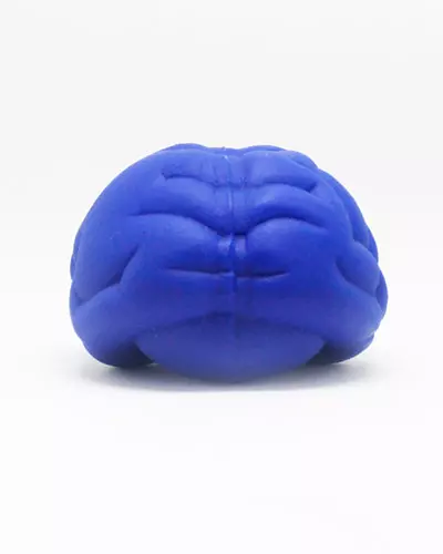 Cérebro Anti Stress de Vinil Personalizado