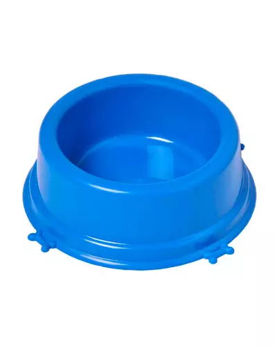 Comedouro Para Cães Personalizado