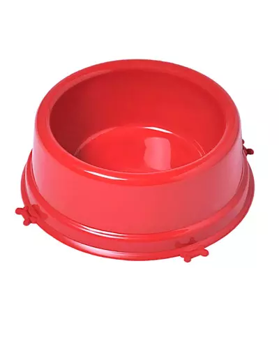 Comedouro Para Cães Personalizado