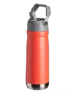 Garrafa Termica 650ml Personalizada