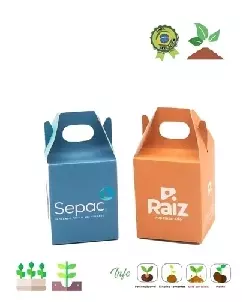 Kit Semente Magica Personalizado