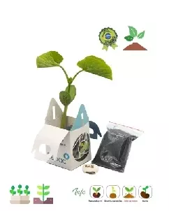 Kit Semente Magica Personalizado