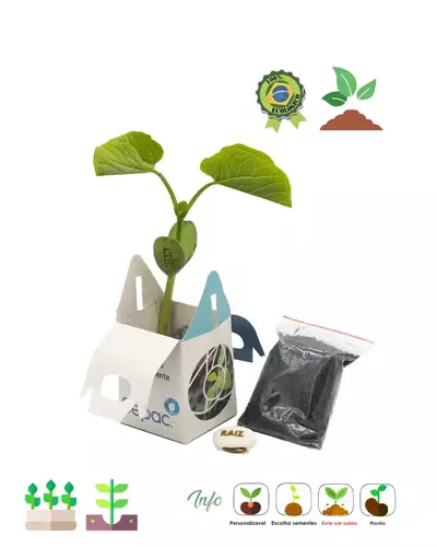 Kit Semente Magica Personalizado
